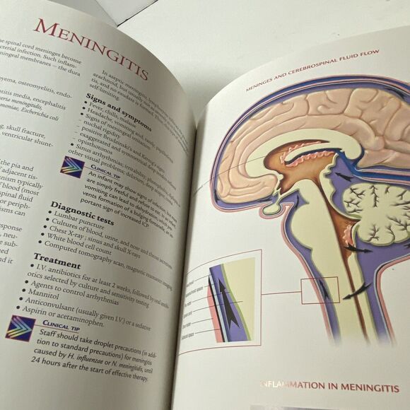 NEW Anatomical Chart Company Atlas of Pathophysiology Hardcover Color Pristine - Picture 11 of 16
